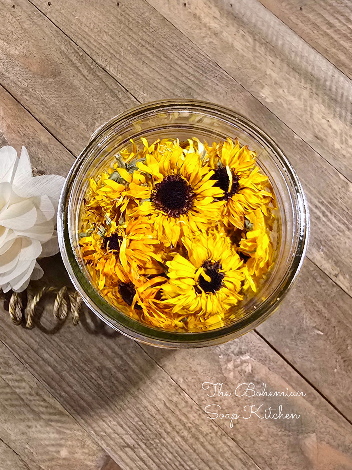 Calendula Blossoms
